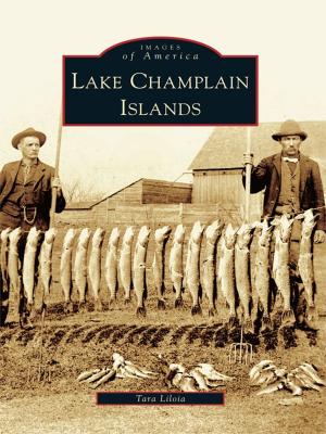 Cover of the book Lake Champlain Islands by Donna Van Horn, Karen Jennings