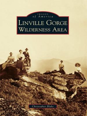 Cover of the book Linville Gorge Wilderness Area by Barb Wardius, Ken Wardius