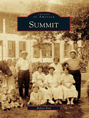 Cover of the book Summit by Robert McAlister