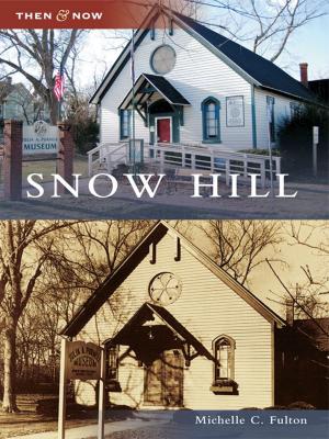 bigCover of the book Snow Hill by 