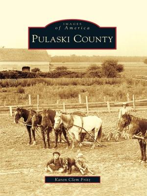 Cover of the book Pulaski County by Shannon McFarlin
