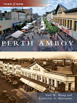 Cover of the book Perth Amboy by Tim Hollis