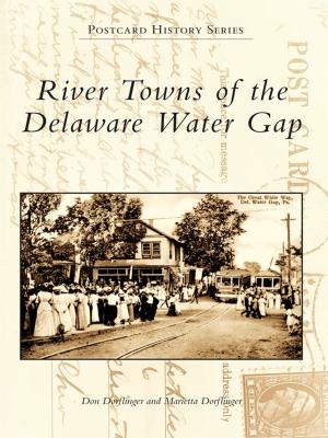 Cover of the book River Towns of the Delaware Water Gap by Shirley Willard, Fulton County Historical Society