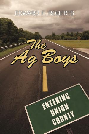 Cover of the book The Ag Boys by James Hilliard