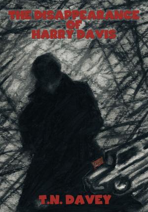 Cover of the book The Disappearance of Harry Davis by R. D. Amundson