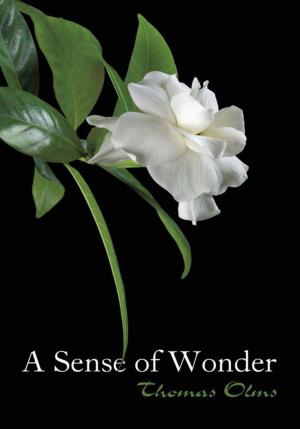 Cover of the book A Sense of Wonder by Gerard Shirar
