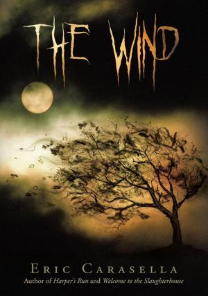 Cover of the book The Wind by Jason Paulino