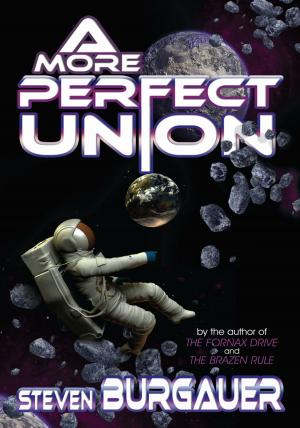 Cover of the book A More Perfect Union by CHRISTINE KOMODOWSKI
