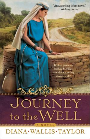 Cover of the book Journey to the Well by Chuck D. Pierce, Rebecca Wagner Sytsema