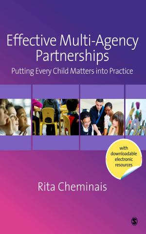 Cover of the book Effective Multi-Agency Partnerships by Patricia Arrendondo, Azara L. (Lourdes) Santiago-Rivera, Maritza Gallardo-Cooper