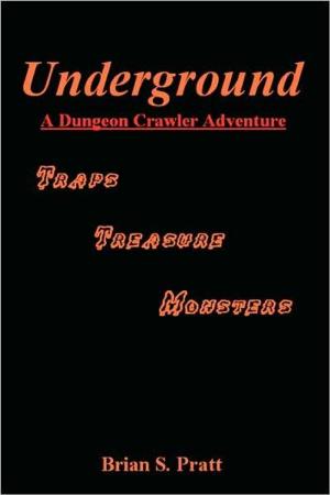 Book cover of Underground: A Dungeon Crawler Adventure