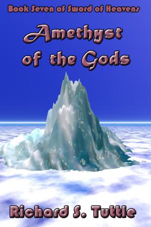 Cover of the book Amethyst of the Gods (Sword of Heavens #7) by Richard S. Tuttle
