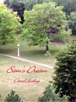 Cover of the book Sam's Dream by Danielle Williams