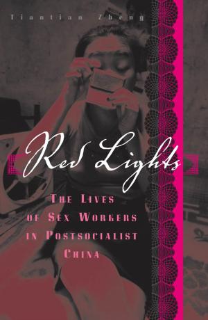 Cover of the book Red Lights by Thomas Lamarre, Marc Steinberg, Fujimoto Yukari
