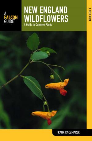 Cover of the book New England Wildflowers by Dolores Kong, Dan Ring