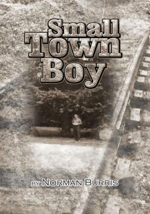 Cover of the book Small Town Boy by Bishop Christopher Wiggins