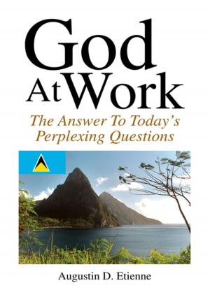 Cover of the book God at Work by Phyllis DiGiacomo Dunnam Ph.D.