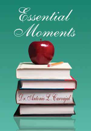 Cover of the book Essential Moments by Simon P Bargetzi