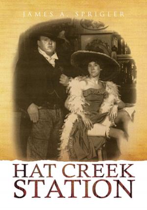 Cover of the book Hat Creek Station by Steve Grieger
