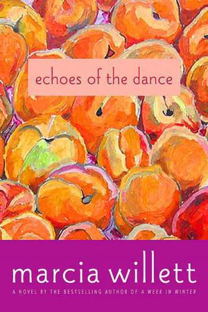 Book cover of Echoes of the Dance