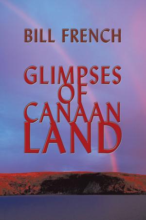 Cover of the book Glimpses of Canaan Land by Keith D. Hickman