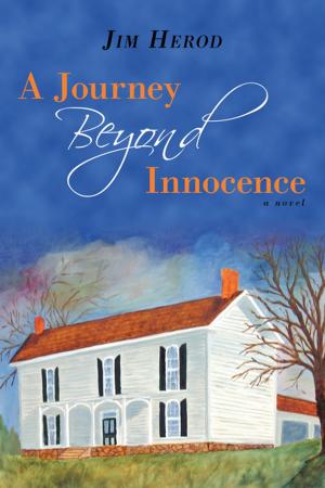 Cover of the book A Journey Beyond Innocence by J. Lamarr Cox Ph.D.