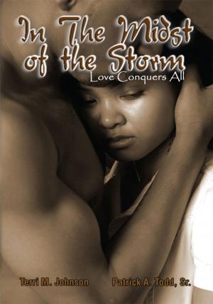 bigCover of the book In the Midst of the Storm by 