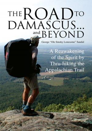 Cover of the book The Road to Damascus... and Beyond by Jeremy Kroeker, Ted Simon, Lois Pryce