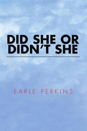 Cover of the book Did She or Didn't She by Carlton J.