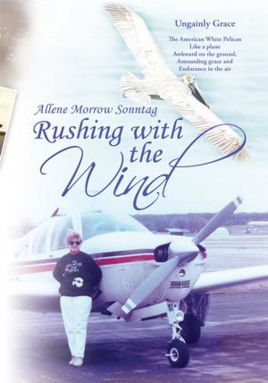 Cover of the book Rushing with the Wind by E.S. Hines