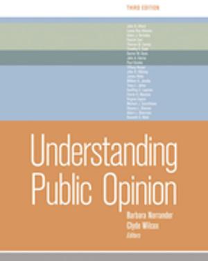 Cover of the book Understanding Public Opinion by Anna Getmansky, Alejandro Quiroz Flores