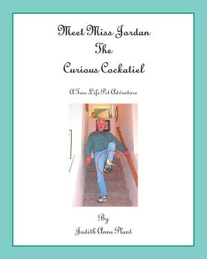 Cover of the book Meet Miss Jordan, the Curious Cockatiel by Audrey Keen-Hansen