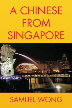 Cover of the book A Chinese from Singapore by Michael Porter
