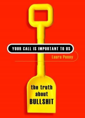 Cover of the book Your Call Is Important To Us by Andy Russell