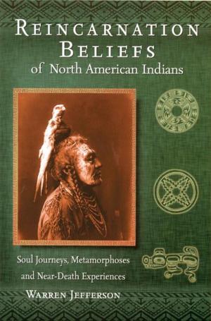 Cover of the book Reincarnation Beliefs of North American Indians by Ryan Andrews