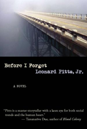 Cover of the book Before I Forget by Elaine Grogan Luttrull