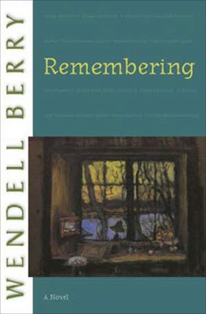 Cover of the book Remembering by Lisa M. Hamilton