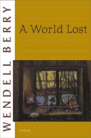 Cover of the book A World Lost by William Hjortsberg