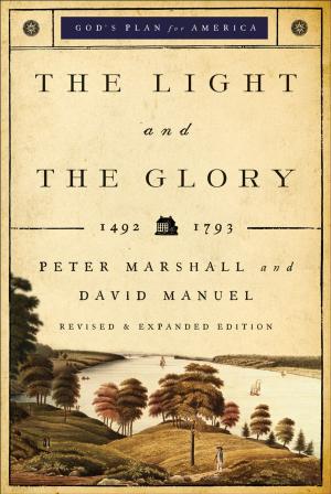Cover of the book The Light and the Glory (God's Plan for America Book #1) by Elizabeth Camden