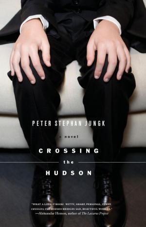 Cover of the book Crossing the Hudson by Elisabeth Åsbrink