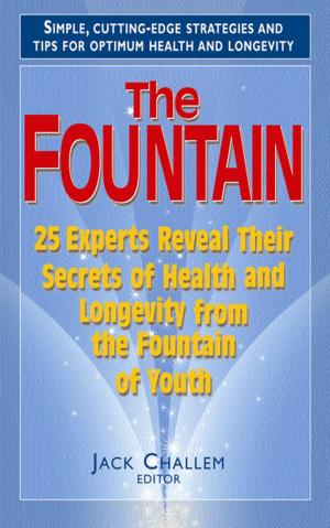 Cover of the book The Fountain by Rabbi Eugene B. Borowitz, Rabbi Arnold Jacob Wolf