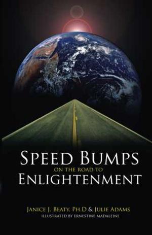 Book cover of Speed Bumps on the Road to Enlightenment