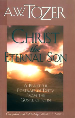 Cover of the book Christ the Eternal Son by Penny Thrasher, Bill Thrasher