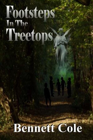Cover of the book Footsteps in Treetops by Dave Field
