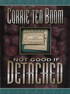 Cover of the book Not Good if Detached by Larry Smith