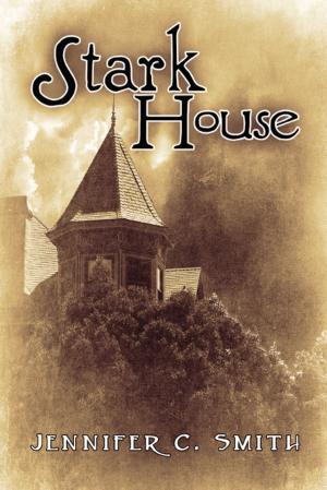 Cover of the book Stark House by Barbara Winningham