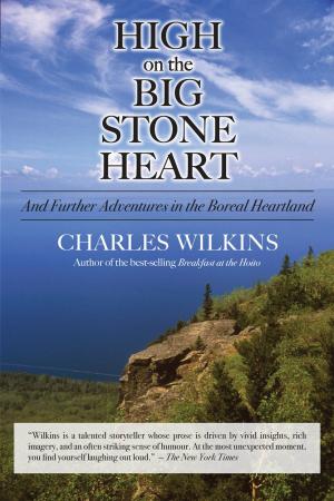 Cover of the book High on the Big Stone Heart by Terry Boyle