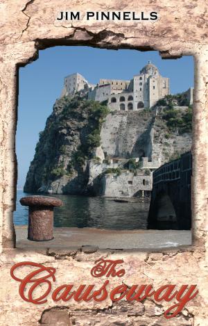 Book cover of The Causeway