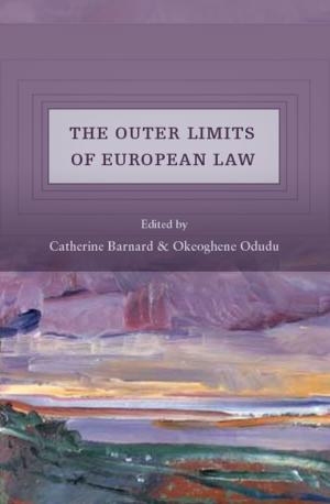Cover of the book The Outer Limits of European Union Law by Mr David Goldfield