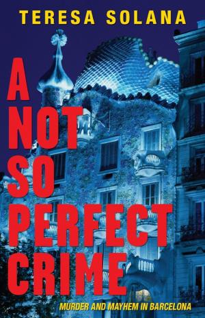 Cover of the book A Not So Perfect Crime by Vesna Goldsworthy